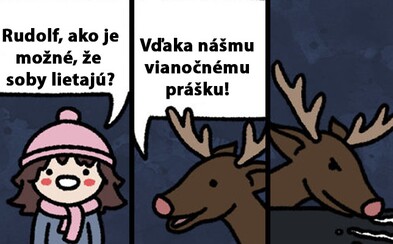 Ilustrácie, ktoré ťa vraj zaručene rozosmejú. Vianočné soby zrejme skrývajú oveľa viac tajomstiev, než sme si mysleli Ilustrácie, ktoré ťa vraj zaručene rozosmejú. Vianočné soby zrejme skrývajú oveľa viac tajomstiev, než sme si mysleli