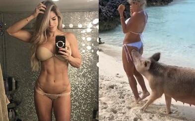 Instagramovú modelku uhryzlo do zadku prasiatko na Bahamách. Urobila chybu, keď si s ním chcela zapózovať Instagramovú modelku uhryzlo do zadku prasiatko na Bahamách. Urobila chybu, keď si s ním chcela zapózovať