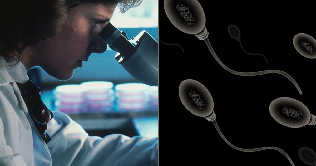 Dárce spermatu šířil rakovinovou mutaci. Muž je otcem téměř 200 dětí v Evropě