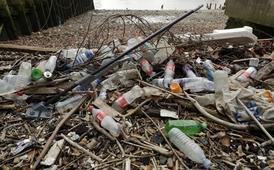 Izraelskí vedci vyvinuli náhradu za plast z morských rias Izraelskí vedci vyvinuli náhradu za plast z morských rias