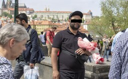 Jak se dělá špinavý byznys v centru Prahy: Kolik za hodinu vydělají trápením hadů a holubů a skákáním v medvědím kostýmu?
