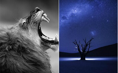 Jedinečné fotografie, ktoré zabojujú o prvenstvo v súťaži od National Geographic Jedinečné fotografie, ktoré zabojujú o prvenstvo v súťaži od National Geographic