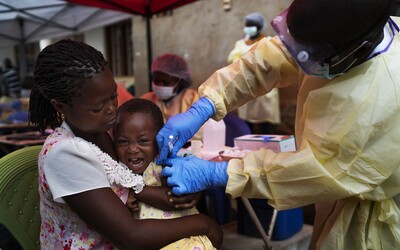 Jedného vírusu sme sa vďaka vakcíne zbavili: ebola je porazená, tvrdí virológ, ktorý tento vírus spoluobjavil