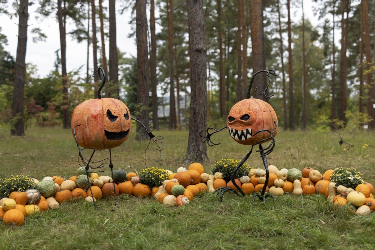 Výstava dýní v Botanické zahradě Praha.