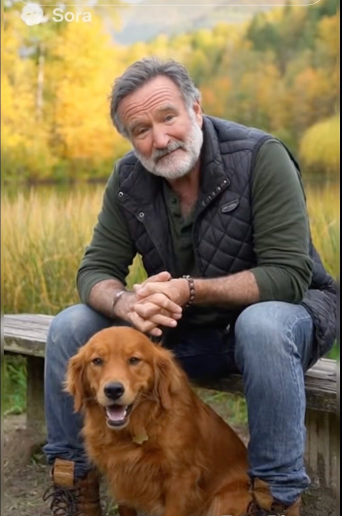 robin williams