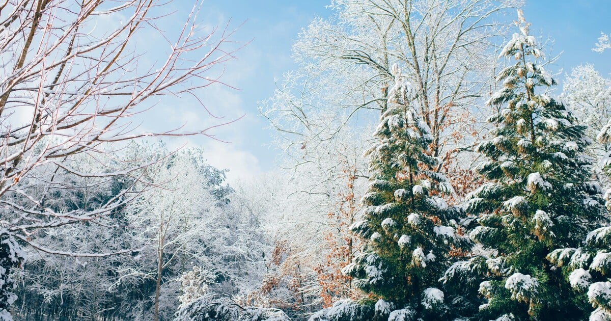PŘEDPOVĚĎ: Po teplém týdnu přijde zlom. Česko čeká prudké ochlazení a první sníh