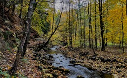Kam na výlet: Bezručovo údolí je ideálním místem na romantické podzimní procházky