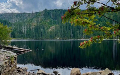 Kam na výlet: Prášilské jezero vzniklo díky ledovci v srdci šumavského národního parku