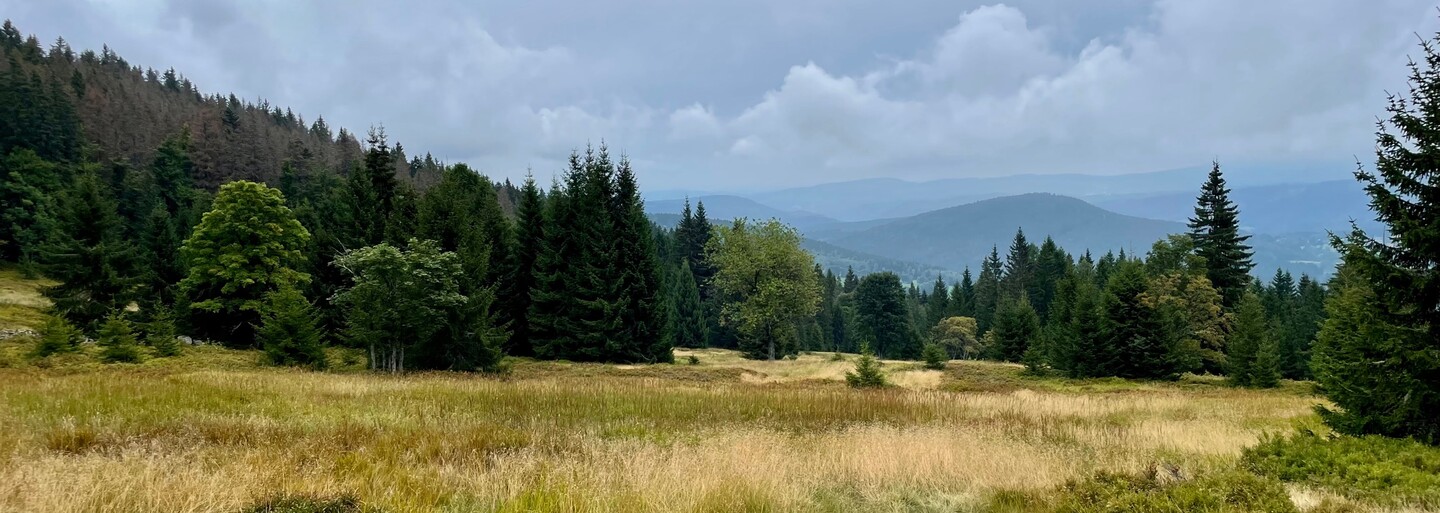 Kam na výlet: Šumava volá. Projdi jejími krásnými slatěmi až na vrchol Poledník