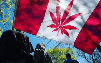 Kanaďané v první den legalizace vykoupili všechny zásoby marihuany Kanaďané v první den legalizace vykoupili všechny zásoby marihuany