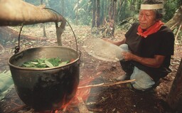 Katka odjela do Peru na ayahuascový rituál. Setkala se s démony, pak se jí spustily psychózy a musela i na elektrošoky