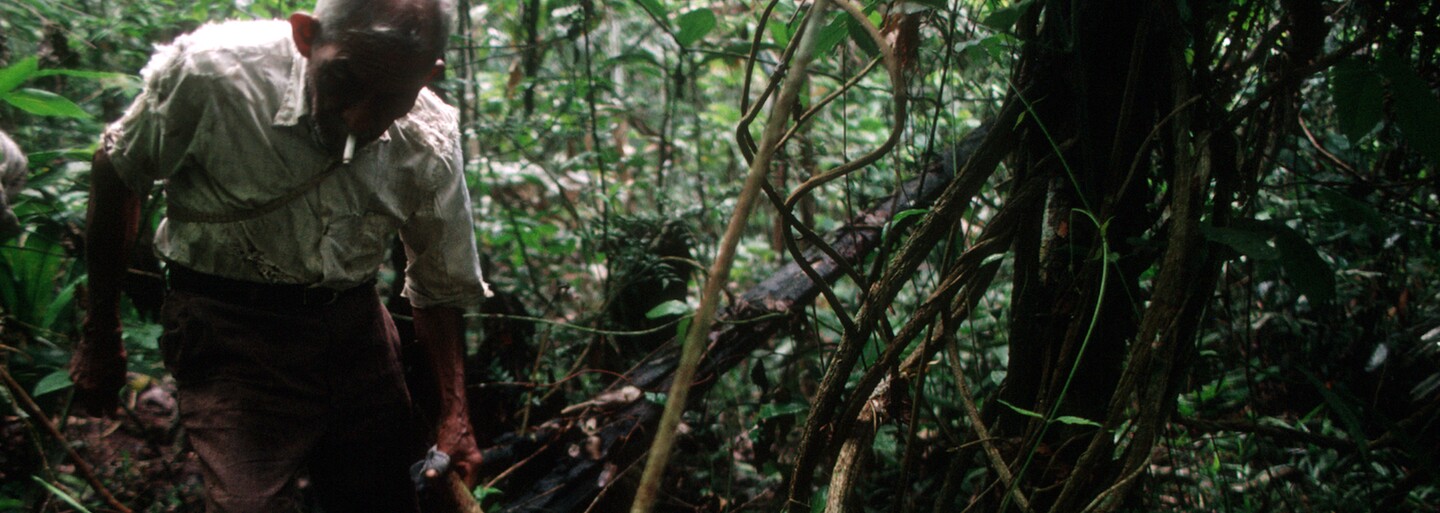 Katka odjela do Peru na ayahuascový rituál. Setkala se s démony, pak se jí spustily psychózy a musela i na elektrošoky