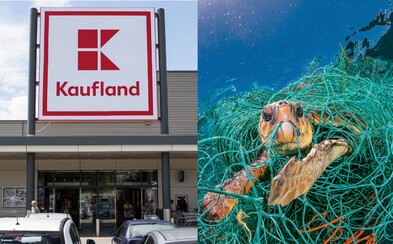 Kaufland nadobro skoncoval s jednorazovými plastami. V supermarkete ich už nekúpiš Kaufland nadobro skoncoval s jednorazovými plastami. V supermarkete ich už nekúpiš