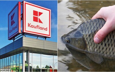 Kaufland plánuje skončiť s predajom živých kaprov. Považuje to za prirodzený krok k zodpovednosti
