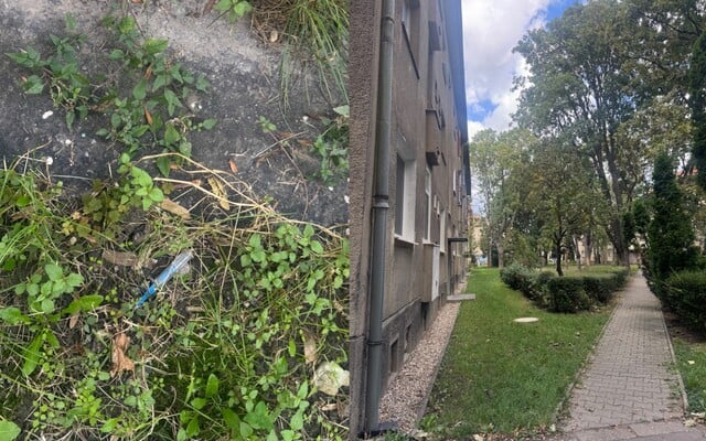 V bratislavských 500 bytoch sa stretávala drogová komunita. Zisťovala som, ako to tam vyzerá dnes (Reportáž)