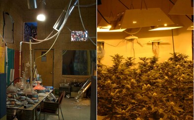 Kde se letos v Česku nejvíce vařil pervitin a pěstovala marihuana? Mapa od policie ti to ukáže Kde se letos v Česku nejvíce vařil pervitin a pěstovala marihuana? Mapa od policie ti to ukáže