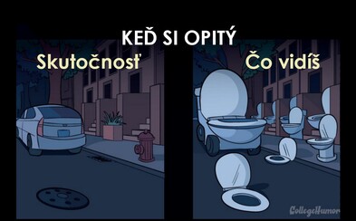 Když člověk musí na toaletu, svět se mění. Poznáš se v zábavných přirovnáních? Když člověk musí na toaletu, svět se mění. Poznáš se v zábavných přirovnáních?