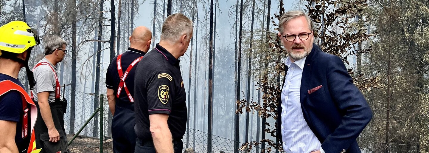 Komentář: Hlavně buďte v lese opatrní, až si tam půjdete provětrat hlavu od myšlenek na klimatickou krizi