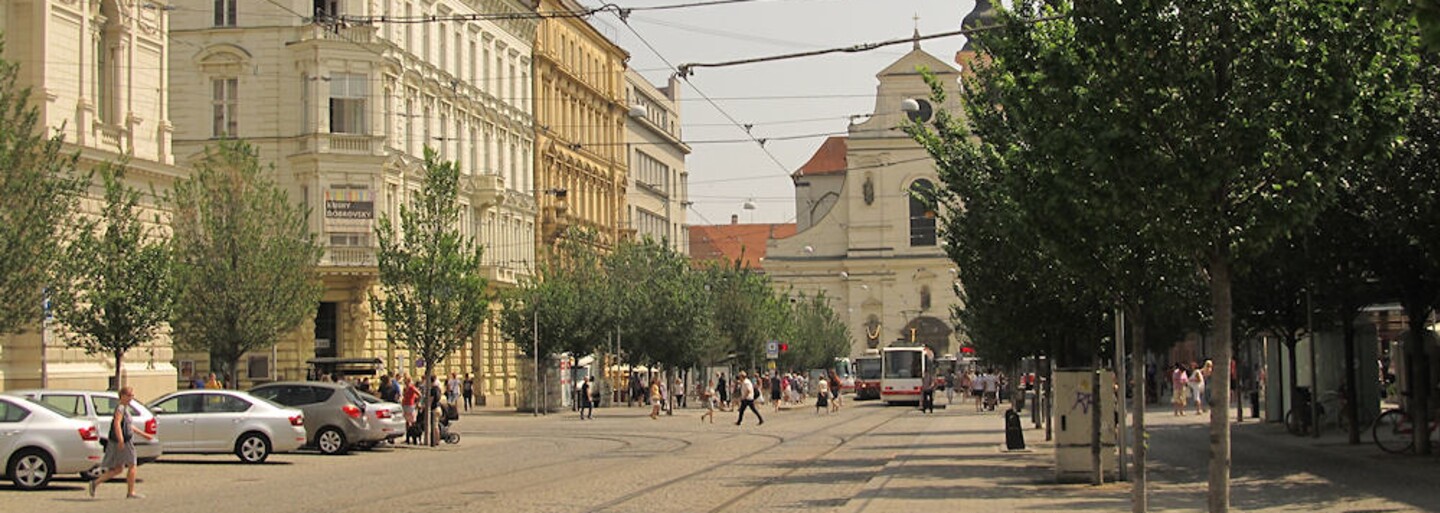 Komunální volby Brno 2022: Politických stran jsme se zeptali, zda budou chtít pracovat na ochlazení města a případně jak
