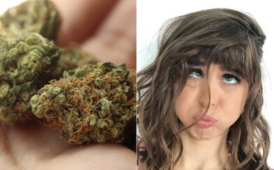 Kouření marihuany před sexem vede k lepším ženským orgasmům, tvrdí nová studie Kouření marihuany před sexem vede k lepším ženským orgasmům, tvrdí nová studie