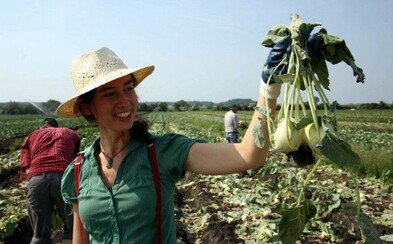 Krivá mrkva alebo príliš malá broskyňa? Iniciatíva Zachraň jídlo sa venuje záchrane potravín, ktoré by inak skončili v koši (Rozhovor) Krivá mrkva alebo príliš malá broskyňa? Iniciatíva Zachraň jídlo sa venuje záchrane potravín, ktoré by inak skončili v koši (Rozhovor)