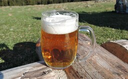 Kdo vlastní známá česká a slovenská piva? Někteří majitelé tě zřejmě překvapí