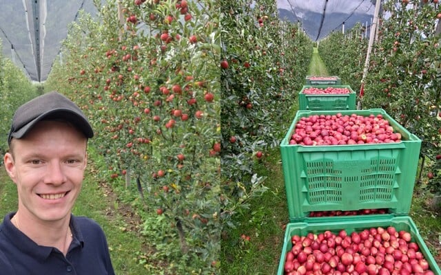 Jano bol na jablkovej brigáde v Taliansku: Robili sme 22 dní bez voľna, no za tie peniaze by som sa tam určite vrátil (Rozhovor)