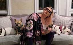 Lady Gaga nabízí 500 tisíc dolarů za návrat svých psů, které jí ukradli při ozbrojené loupeži