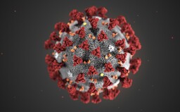 Lék, který vyvíjel Čech, zabírá na koronavirus