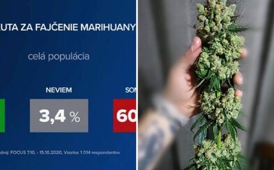 Len 1/3 ľudí podporuje miernejšie tresty za marihuanu: Najodmietavejší postoj majú voliči KDH Len 1/3 ľudí podporuje miernejšie tresty za marihuanu: Najodmietavejší postoj majú voliči KDH