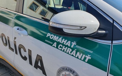Len 24-ročný muž si vypil a v domácej karanténe sa vyhrážal matke aj bratovi zabitím. Neprestal ani po príchode policajtov Len 24-ročný muž si vypil a v domácej karanténe sa vyhrážal matke aj bratovi zabitím. Neprestal ani po príchode policajtov