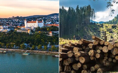 Lesy SR odignorovali ministerstvo a začali riskantnú ťažbu pri Bratislave. Zastaviť ju v poslednej chvíli museli až ľudia Lesy SR odignorovali ministerstvo a začali riskantnú ťažbu pri Bratislave. Zastaviť ju v poslednej chvíli museli až ľudia