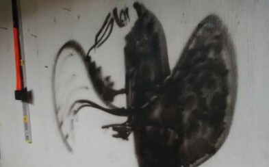 Lidé nedokážou přijít na to, co se nachází na obrázku. Odpověď je přitom skutečně jednoduchá Lidé nedokážou přijít na to, co se nachází na obrázku. Odpověď je přitom skutečně jednoduchá