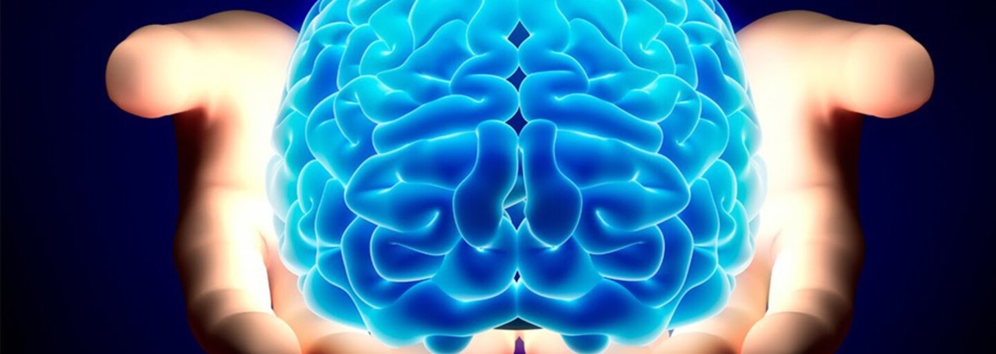 Ľuďom s Alzheimerovou chorobou svitá na lepšie časy. Vedci vrátili pokusným myšiam ich pamäť