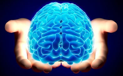 Ľuďom s Alzheimerovou chorobou svitá na lepšie časy. Vedci vrátili pokusným myšiam ich pamäť Ľuďom s Alzheimerovou chorobou svitá na lepšie časy. Vedci vrátili pokusným myšiam ich pamäť