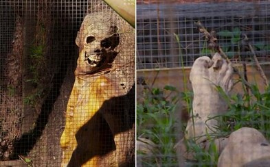 Lidské maso, kosti i části obličeje. Australská farma smrti pomáhá objasňovat ty nejkomplikovanější vraždy a policisté si ji nemohou vynachválit Lidské maso, kosti i části obličeje. Australská farma smrti pomáhá objasňovat ty nejkomplikovanější vraždy a policisté si ji nemohou vynachválit