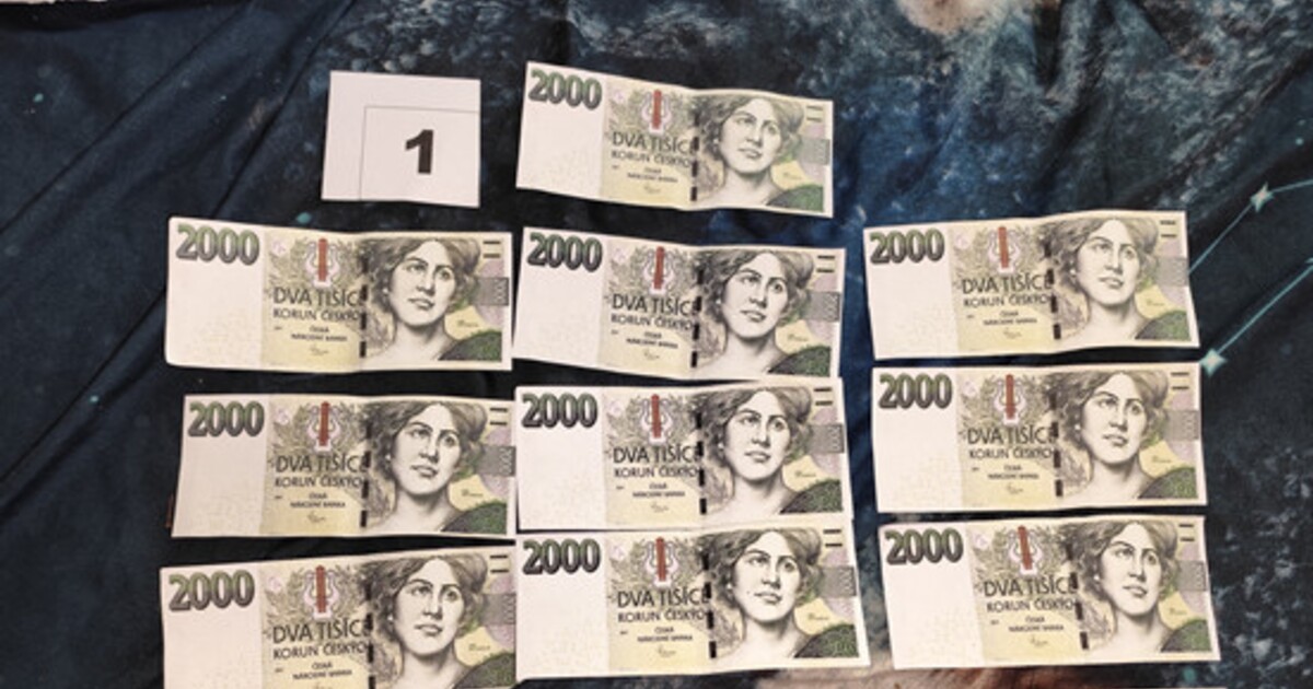 Sedmnáctiletá dívka z Havířova tiskla falešné bankovky. Hrozí jí až čtyři roky vězení