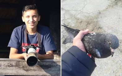 Má len 15 rokov, no chcel robiť niečo dobré pre tento svet. Martin ošetruje choré vtáky a volá políciu, keď rúbu stromy Má len 15 rokov, no chcel robiť niečo dobré pre tento svet. Martin ošetruje choré vtáky a volá políciu, keď rúbu stromy