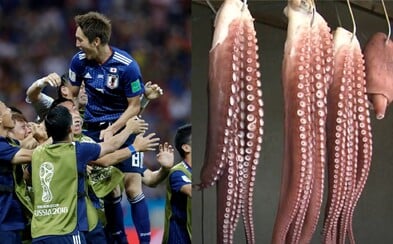 Věštecká chobotnice neuhodla výsledek, tak ji naporcovali a prodali Věštecká chobotnice neuhodla výsledek, tak ji naporcovali a prodali