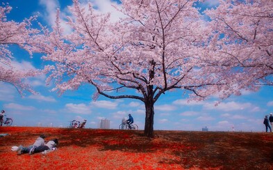 Magické pouličné fotografie z ďalekého Japonska poukazujú na jeho svojskosť a tajomnú charizmu Magické pouličné fotografie z ďalekého Japonska poukazujú na jeho svojskosť a tajomnú charizmu