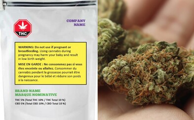 Marihuana nebo čaj? Kanada bude legální konopí prodávat ve speciálních baleních, které si možná v domácnosti snadno spletete Marihuana nebo čaj? Kanada bude legální konopí prodávat ve speciálních baleních, které si možná v domácnosti snadno spletete