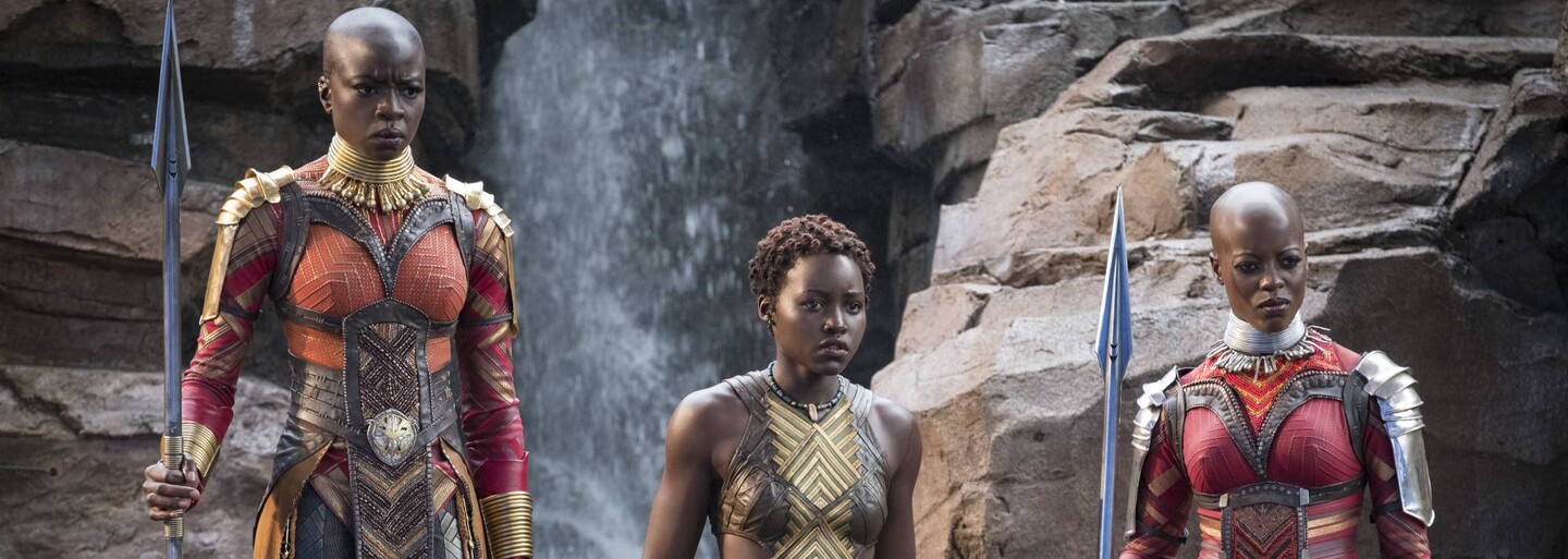 Marvel oficiálne potvrdil prípravy pre Black Panthera 2. Kedy dorazí pokračovanie úspešnej komiksovky do kín?
