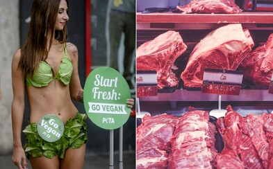 Mäso ani syry tu nechceme. Militantní vegáni útočia vo Francúzsku na mäsiarstva, syrárne aj McDonald's Mäso ani syry tu nechceme. Militantní vegáni útočia vo Francúzsku na mäsiarstva, syrárne aj McDonald's
