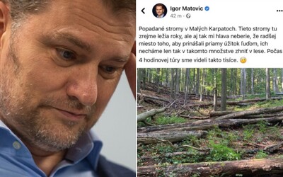 Matovič kritizoval, že popadané stromy hnijú v lesoch bez úžitku. Odborník mu vysvetlil, že sú životne dôležité