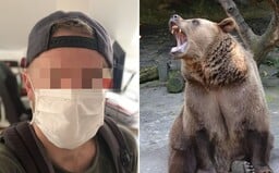 Medveď zabil trénera s nasadeným ochranným rúškom. Kvôli prekrytej tvári ho nespoznal