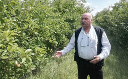Mikuláš Vareha sa vracia: Vo väzení by mali byť štátne bordely. Rómom dám do lesa služobné slony, boxeri budú dojiť kravy