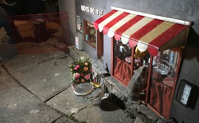 Miniatúrne obchodíky pre švédske myši plné syrov a iných dobrôt nalákajú každého hlodavca Miniatúrne obchodíky pre švédske myši plné syrov a iných dobrôt nalákajú každého hlodavca