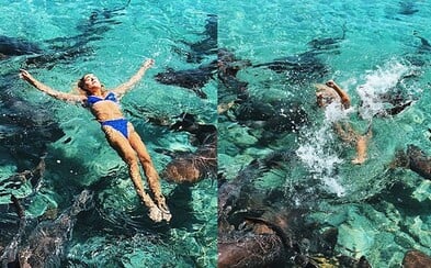 Modelka takmer prišla o ruku pri pózovaní so žralokmi na Bahamách. Ignorovala upozornenia, lebo chcela výnimočnú fotku Modelka takmer prišla o ruku pri pózovaní so žralokmi na Bahamách. Ignorovala upozornenia, lebo chcela výnimočnú fotku