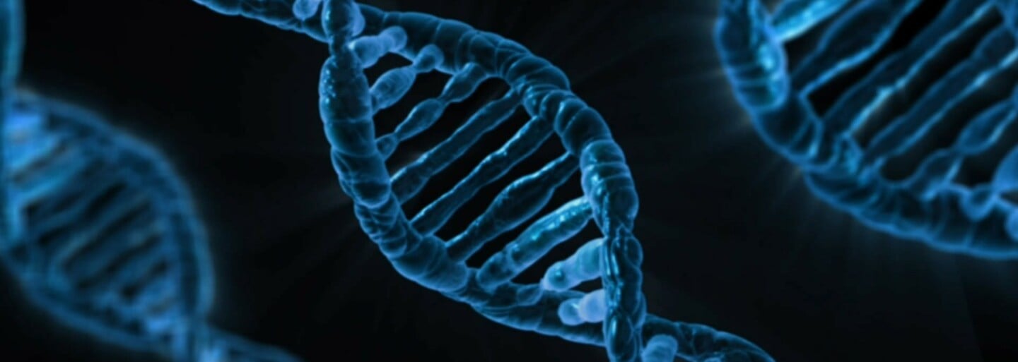 Muž se sám geneticky upravuje. Svou DNA mění tak, aby měl svalnatější předloktí nebo přirozená tetování