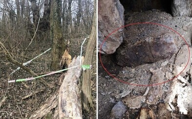 Muž hral geocaching, pri Seredi našiel nevybuchnutú muníciu z druhej svetovej vojny Muž hral geocaching, pri Seredi našiel nevybuchnutú muníciu z druhej svetovej vojny